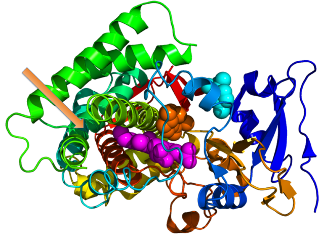 Moonlighting Proteins pdb 3d