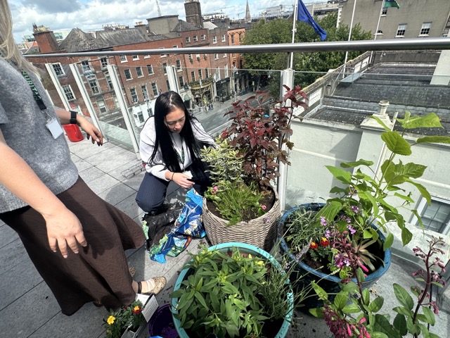 Nuritas Launches Green Week in Celebration of Great Big Green Week 2026