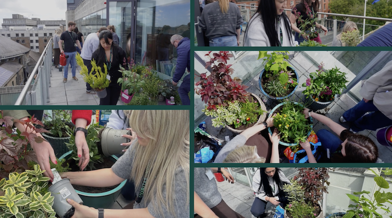 What We Planted, Learned, and Built During Green Week 2026